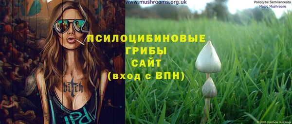 винт Алзамай