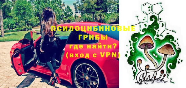 винт Алзамай