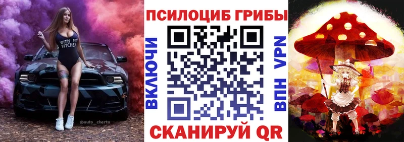 купить наркотики цена  Находка  Псилоцибиновые грибы ЛСД 